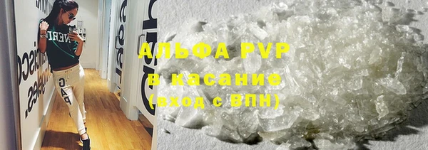 мяу мяу мука Абаза