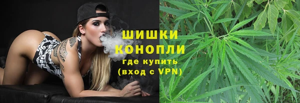 PSILOCYBIN Алзамай